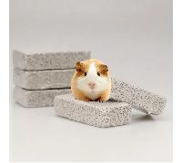 TEMU Piedras Volcánicas para Masticar - 5 Piezas, Minerales Naturales para Molar Dientes, Adecuadas para Hámsters, , Cobayas y Conejos