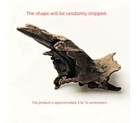 TEMU Piezas de madera natural de 5 cm para decorar acuarios o terrarios de reptiles - Formas variadas para mini paisajes