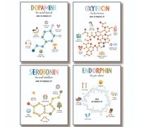 TEMU Póster de 4 Hojas de - de Neuroquímica para de Psicología, Oficina y Decoración de - Educativo de Neurociencia - Compatible con el (Sin ) 20.32x25.4cm Pared Escolar Paquete de 4 Hojas
