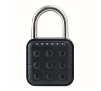 TEMU Puerta Electrónica con Cerradura Digital, Candado Metálico IP67 Impermeable a Batería para Equipaje, Puertas, Portones y Cajones