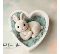 TEMU Regalo para estudio de fotografía, accesorios de sesión, lavabo de madera con forma de