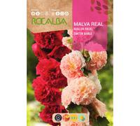 TEMU S. Malva Real Rocálba Variedad
