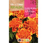 TEMU S. Rocálba de la India Double Ana