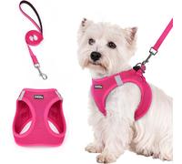 TEMU Set de Arnés y Correa para Perro , Malla Transpirable para Todo , Reflectante, Chaleco y para Mascotas, Adecuado para Perros Pequeños y Cachorros, Sin Batería