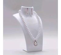 TEMU Soporte de Exhibición de Joyería para Collar de 1 Pieza, Estante para Joyería de Cuello de , Estante de Almacenamiento para Pendientes