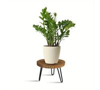 TEMU Soporte para Plantas de Madera de Mediados de para Interior y Exterior, Taburete Moderno para Macetas, Soporte Bohemio de Madera para (L)