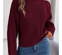 TEMU Suéter de cuello de larga con cable, color liso casual, otoño e invierno 2023