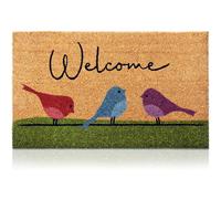 TEMU Tapete de bienvenida de pájaro colorido - Tapete de entrada de poliéster lavable en máquina antideslizante con diseño de pájaro , para uso interior/exterior, regalo ideal para mudarse, pájaro