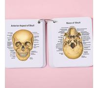 TEMU Tarjetas del Esqueleto , Anatomía del Cuerpo , Esquelético, del Esqueleto , Tarjetas del Cuerpo, Mis Tarjetas