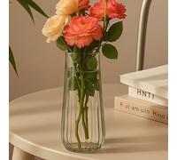 TEMU Un de vidrio de 9.8 pulgadas, para mejorar la decoración de escritorios, habitaciones y oficinas, diseñado para hidroponía y de vidrio (solo jarrones, sin flores incluidas).