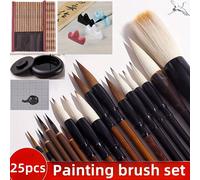 TEMU Un juego de 25 pinceles para pintar, que pinceles de acuarela premium y un juego de pinceles chinos para dibujar líneas