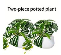 TEMU Una planta artificial verde de 6 pulgadas con , con un contenedor , ideal para decoración de interiores y exteriores. para plantas colgantes, jardines, , fregoneras, decoración del hogar, y .