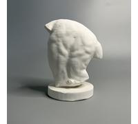TEMU Una réplica de una escultura de yeso que un torso de de la mitología griega , como regalo decorativo para o decoración del hogar