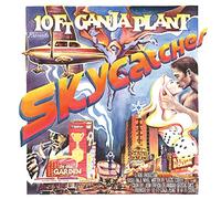 Ten Ft. Ganja Plant - Skycatcher