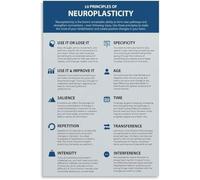 Ten Principles Neuroplasticity Brain Plasticity Poster Cognitive Growth Guide Educational Canvas Wall Art Living Room Bedroom(Framed,12x18inch(30x45cm))