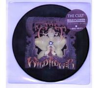 TEN SHARP - TEN SHARP - AIN'T MY BEATING HEART - 7" VINYL