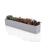Ten-stone Macetero Rectangular de hormigón Gris sin esmaltar de 14.5 Pulgadas para alféizar de Ventana