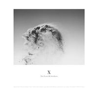 Ten Years Of Artefacts [Vinilo]