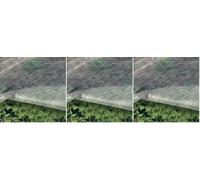 TENAX Ortoclima 1,60x5 m Blanco, Velo Protector Antihielo Ligero para Plantas y Cultivos, de TNT Tejido no Tejido Transpirable 17 g/m², Protege Plantas, Flores y Hortalizas del Frío y el Viento