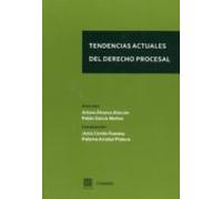 Tendencias Actuales Del Derecho Procesal