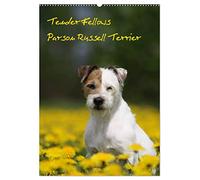 Tender Fellows - Parson Russell Terrier (Wandkalender 2026 DIN A2 hoch), CALVENDO Monatskalender: Unsere fröhliche Terrierbande hat auch in 2017 viel erlebt.