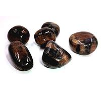 Tenet - Piedras pulidas para cristaloterapia y reiki, cargadas con técnicas de piramidología - 5 unidades 18-25 mm (Chiastolite)
