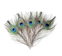 TENET - (PLUMA DE PAVO REAL 25-30 CM - 3 PIEZAS