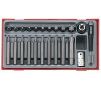 Teng Conector Broca Torx Juego 23 Piezas 1.3cm Drive Corto Y Largo En Bandeja