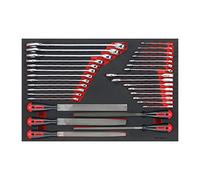 TENG TOOLS TTEX32 FOAM4X4 - Juego de llaves y limas (32 piezas)