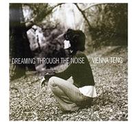 Teng, Vienna - Dreaming Through the Nois