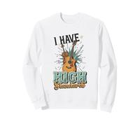 Tengo Altos estándares Divertido Agudos Instrumento músico Juego de Palabras Sudadera