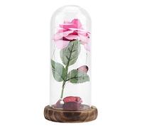 TengXiCLP Flor de Rosa preservada con luz LED, Rosa Real para Siempre en cúpula de Cristal sobre Base de Madera, Regalo romántico para el Día de San Valentín, Aniversario de Boda, Navidad (Púrpura)