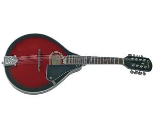 Tenson F505400 - Mandolina A-1 oval, color negro y cereza