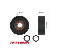 NTY Rodillo Tensionador Correa Poli V RNK-BM-013 Para BMW 70 mm x 26 mm