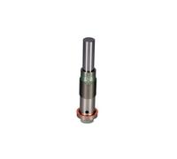 Tensor de la correa de distribución hidráulico 533 0098 10 INA para FORD FOCUS I
