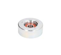 Tensor de correa, correa poli V BTA E25011BTA