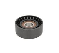 Tensor de correa, correa poli V BTA E2C0035BTA