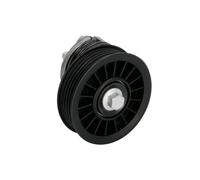 Tensor de correa, correa poli V BTA E3W0020BTA