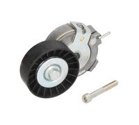 Tensor de correa, correa poli V DAYCO APV1002