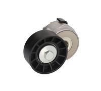 DAYCO APV1075 Tensor de Correa, Correa Poli V