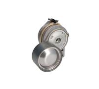 Tensor de correa, correa poli V DAYCO APV1094