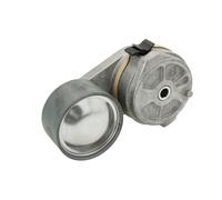 Tensor de correa, correa poli V DAYCO APV1095