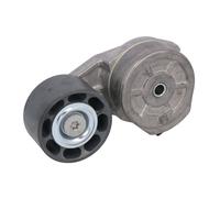 Tensor de correa, correa poli V DAYCO APV1101
