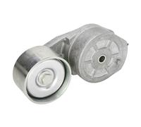 Tensor de correa, correa poli V DAYCO APV1147