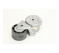 Tensor de correa, correa poli V DAYCO APV2454