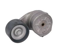 Tensor de correa, correa poli V DAYCO APV2719