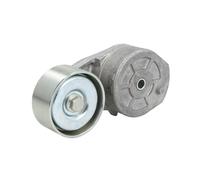 Tensor de correa, correa poli V DAYCO APV2927