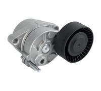 Tensor de correa, correa poli V FEBI BILSTEIN 09810