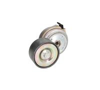 Tensor de correa, correa poli V FleetRunner GATES T38638