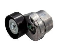 Tensor De Correa Correa Poli V Schaeffler Ina 534 0031 10 para Ford